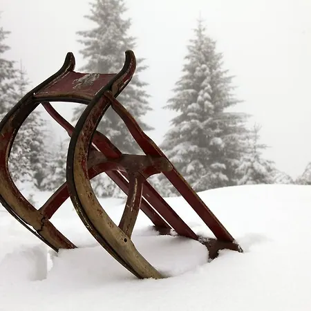 酒店 Malixerhof 马里克斯