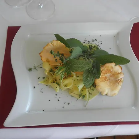 Malixerhof Hotel 2*